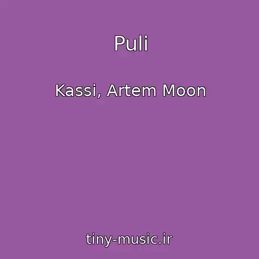 کاور آهنگ Puli از Kassi, Artem Moon