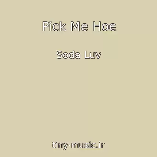 کاور آهنگ Pick Me Hoe از Soda Luv