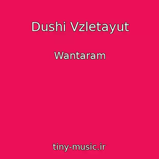 کاور آهنگ Dushi Vzletayut از Wantaram