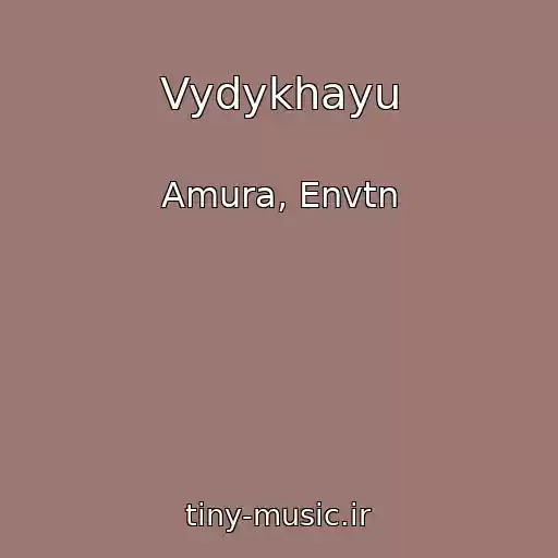کاور آهنگ Vydykhayu از Amura, Envtn
