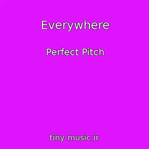 کاور آهنگ Everywhere از Perfect Pitch