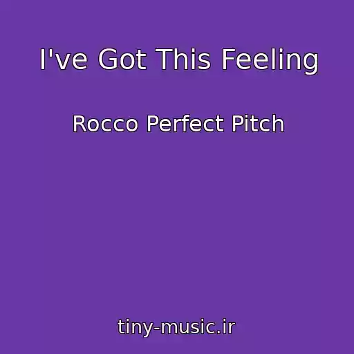 کاور آهنگ I've Got This Feeling از Rocco Perfect Pitch