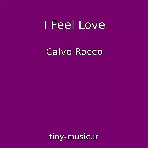 کاور آهنگ I Feel Love از Calvo Rocco