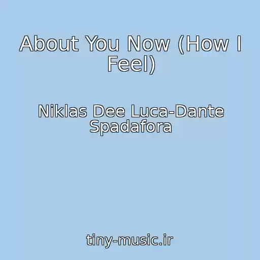 کاور آهنگ About You Now (How I Feel) از Niklas Dee Luca-Dante Spadafora