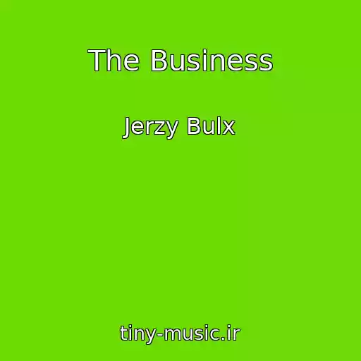 کاور آهنگ The Business از Jerzy Bulx