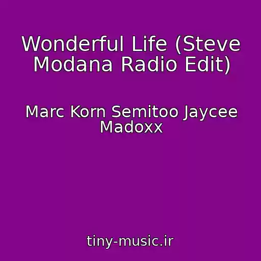 کاور آهنگ Wonderful Life (Steve Modana Radio Edit) از Marc Korn Semitoo Jaycee Madoxx