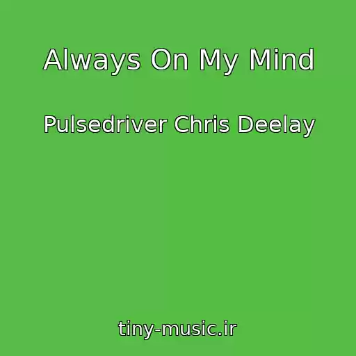 کاور آهنگ Always On My Mind از Pulsedriver Chris Deelay