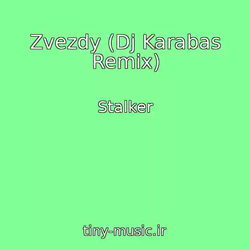 کاور آهنگ Zvezdy (Dj Karabas Remix) از Stalker