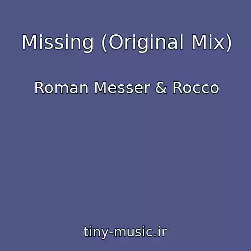 کاور آهنگ Missing (Original Mix) از Roman Messer & Rocco