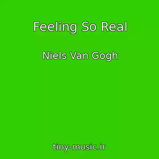 کاور آهنگ Feeling So Real از Niels Van Gogh