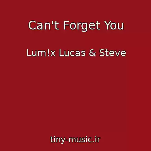 کاور آهنگ Can't Forget You از Lum!x Lucas & Steve
