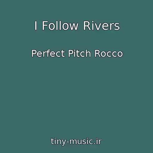 کاور آهنگ I Follow Rivers از Perfect Pitch Rocco
