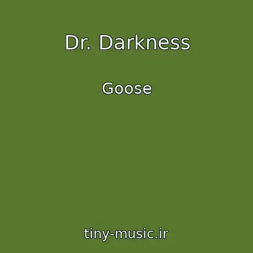 کاور آهنگ Dr. Darkness از Goose