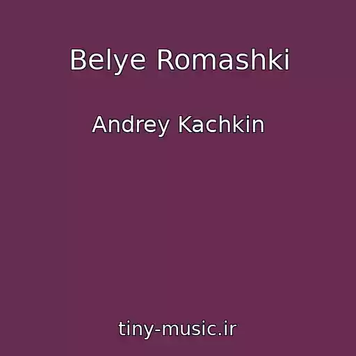 کاور آهنگ Belye Romashki از Andrey Kachkin