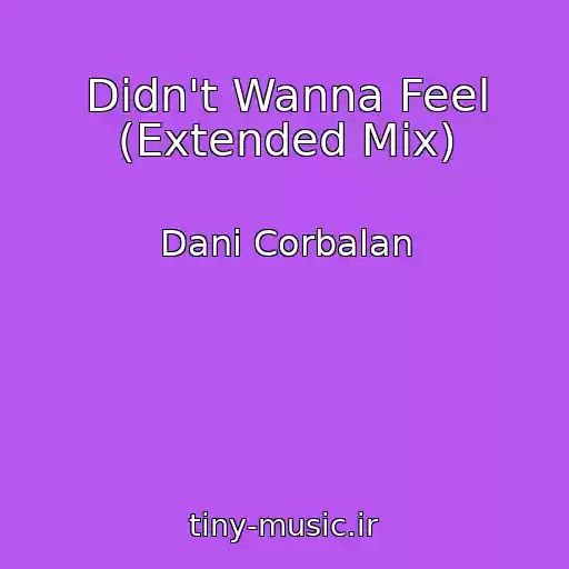کاور آهنگ Didn't Wanna Feel (Extended Mix) از Dani Corbalan