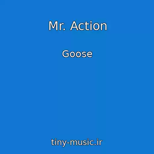 کاور آهنگ Mr. Action از Goose
