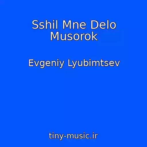 کاور آهنگ Sshil Mne Delo Musorok از Evgeniy Lyubimtsev