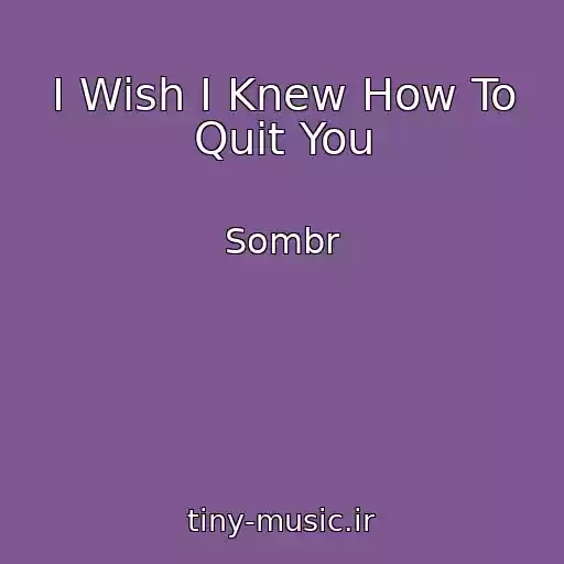 کاور آهنگ I Wish I Knew How To Quit You از Sombr