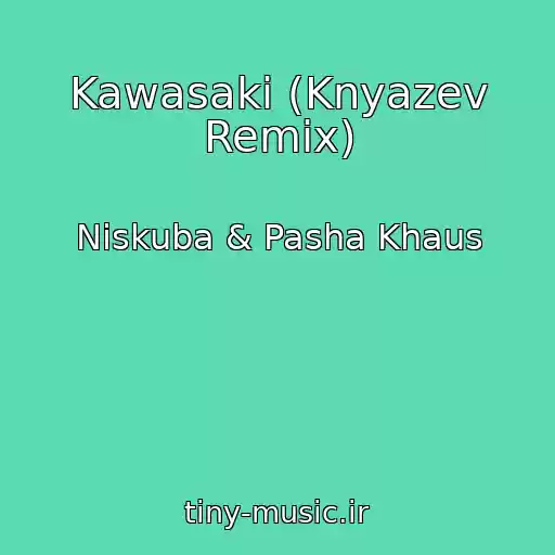 کاور آهنگ Kawasaki (Knyazev Remix) از Niskuba & Pasha Khaus