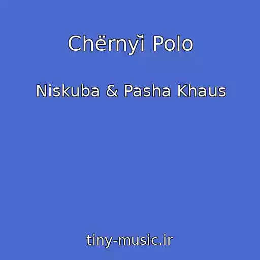 کاور آهنگ Chërnyĭ Polo از Niskuba & Pasha Khaus
