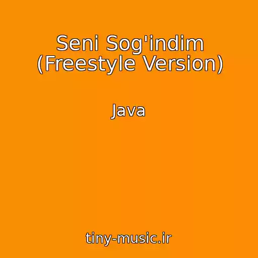 کاور آهنگ Seni Sog'indim (Freestyle Version) از Java