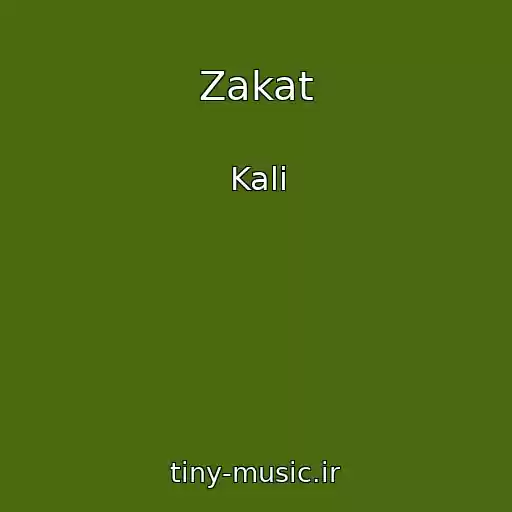 کاور آهنگ Zakat از Kali