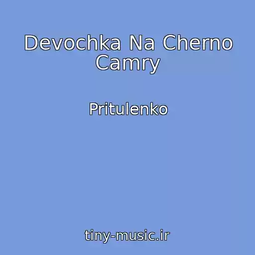 کاور آهنگ Devochka Na Cherno Camry از Pritulenko