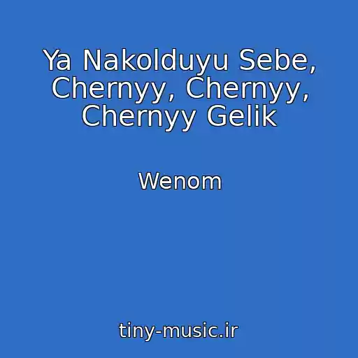 کاور آهنگ Ya Nakolduyu Sebe, Chernyy, Chernyy, Chernyy Gelik از Wenom