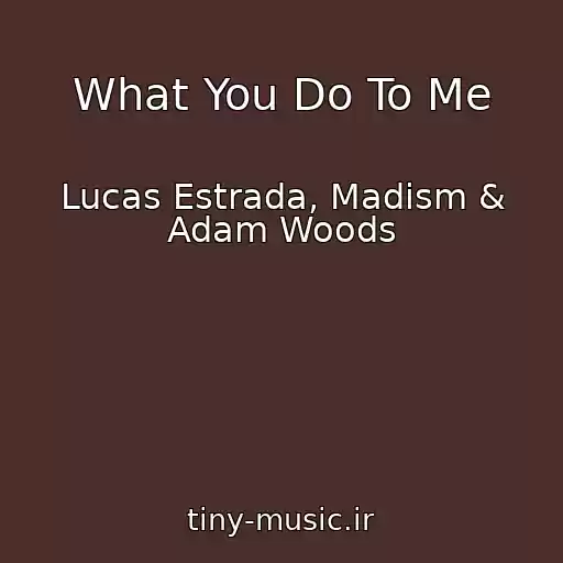 کاور آهنگ What You Do To Me از Lucas Estrada, Madism & Adam Woods