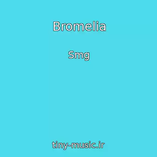 کاور آهنگ Bromelia از Smg