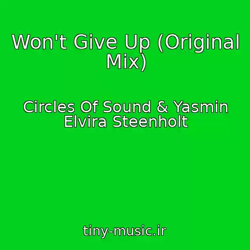 کاور آهنگ Won't Give Up (Original Mix) از Circles Of Sound & Yasmin Elvira Steenholt