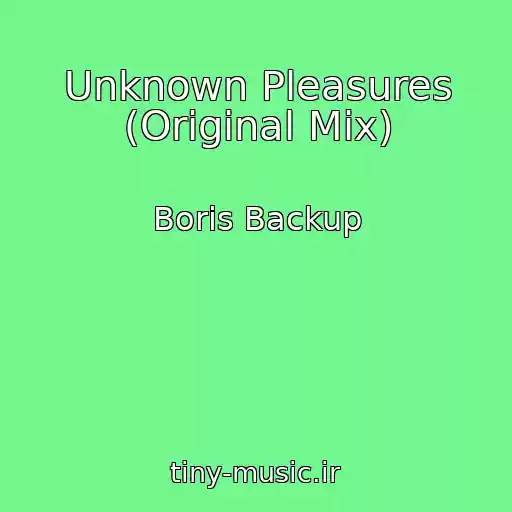 کاور آهنگ Unknown Pleasures (Original Mix) از Boris Backup