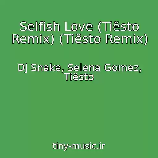 کاور آهنگ Selfish Love (Tiësto Remix) (Tiësto Remix) از Dj Snake, Selena Gomez, Tiësto