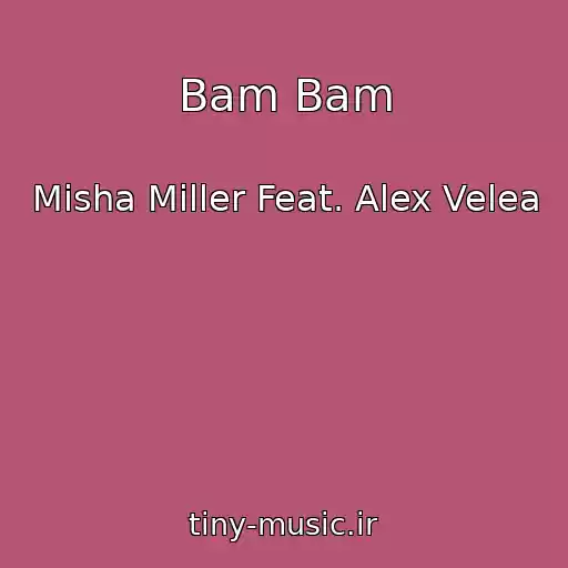 کاور آهنگ Bam Bam از Misha Miller Feat. Alex Velea