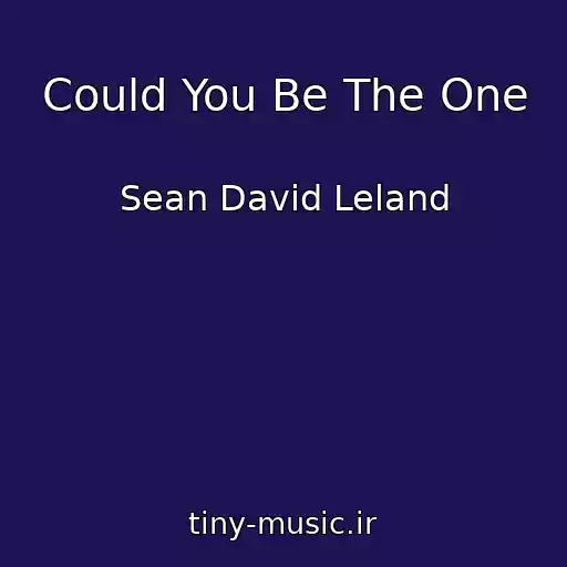 کاور آهنگ Could You Be The One از Sean David Leland
