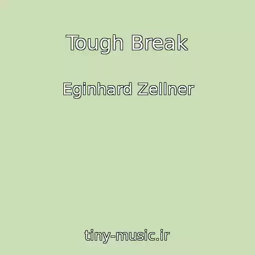 کاور آهنگ Tough Break از Eginhard Zellner