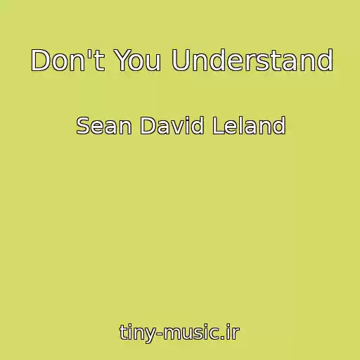 کاور آهنگ Don't You Understand از Sean David Leland
