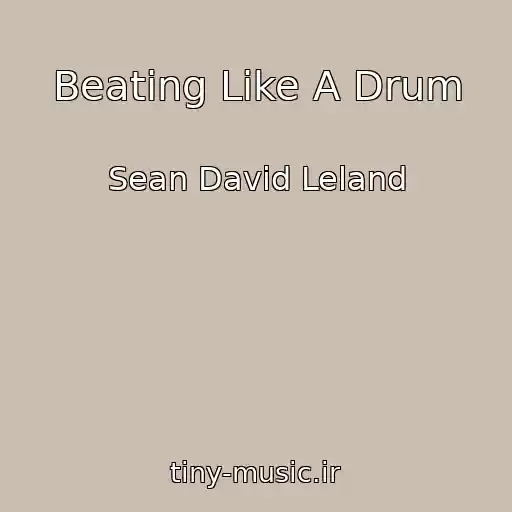 کاور آهنگ Beating Like A Drum از Sean David Leland