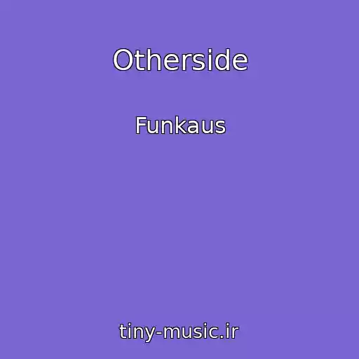 کاور آهنگ Otherside از Funkaus