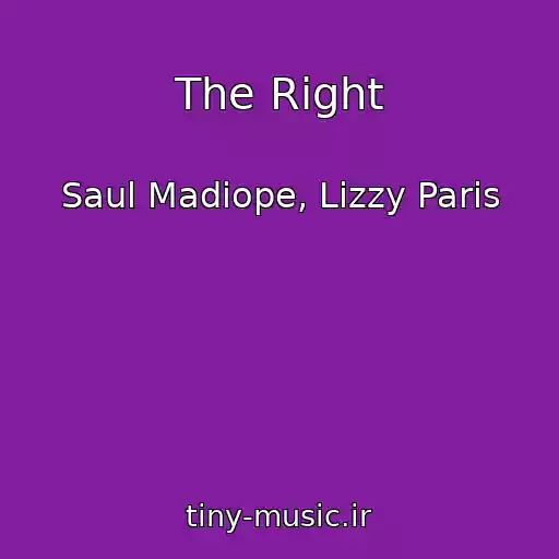 کاور آهنگ The Right از Saul Madiope, Lizzy Paris