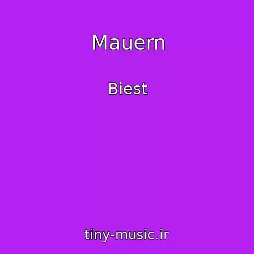 کاور آهنگ Mauern از Biest