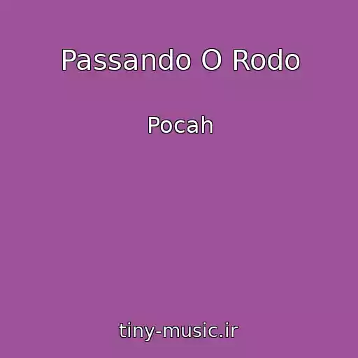 کاور آهنگ Passando O Rodo از Pocah