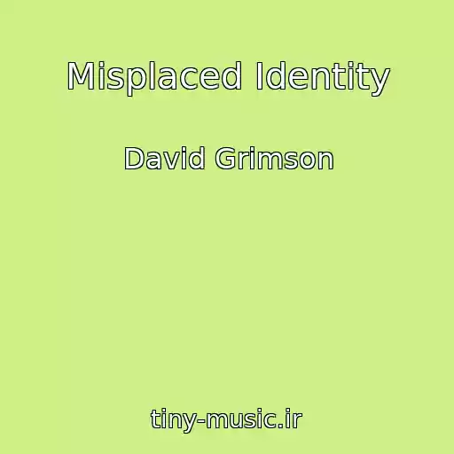 کاور آهنگ Misplaced Identity از David Grimson