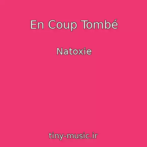 کاور آهنگ En Coup Tombé از Natoxie