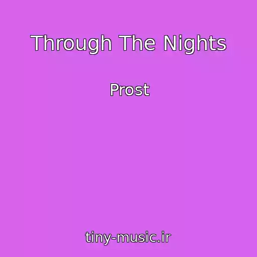 کاور آهنگ Through The Nights از Prost