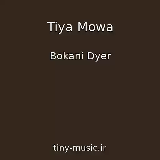 کاور آهنگ Tiya Mowa از Bokani Dyer