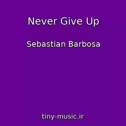 کاور آهنگ Never Give Up از Sebastian Barbosa