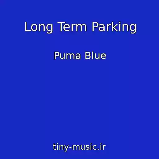 کاور آهنگ Long Term Parking از Puma Blue