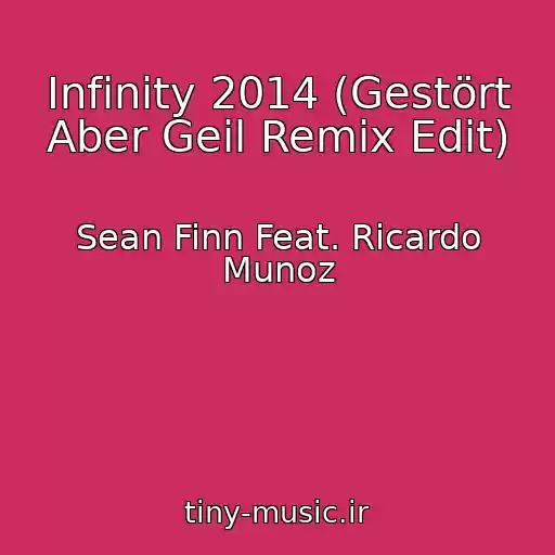 کاور آهنگ Infinity 2014 (Gestört Aber Geil Remix Edit) از Sean Finn Feat. Ricardo Munoz