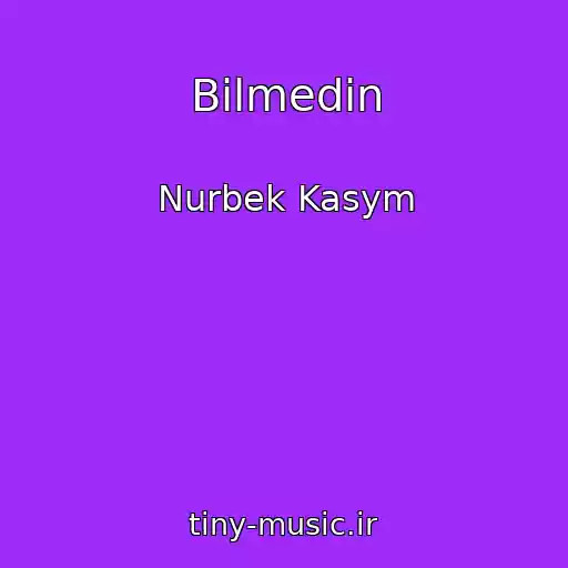 کاور آهنگ Bilmedin از Nurbek Kasym